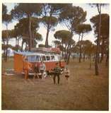 Bernard8353